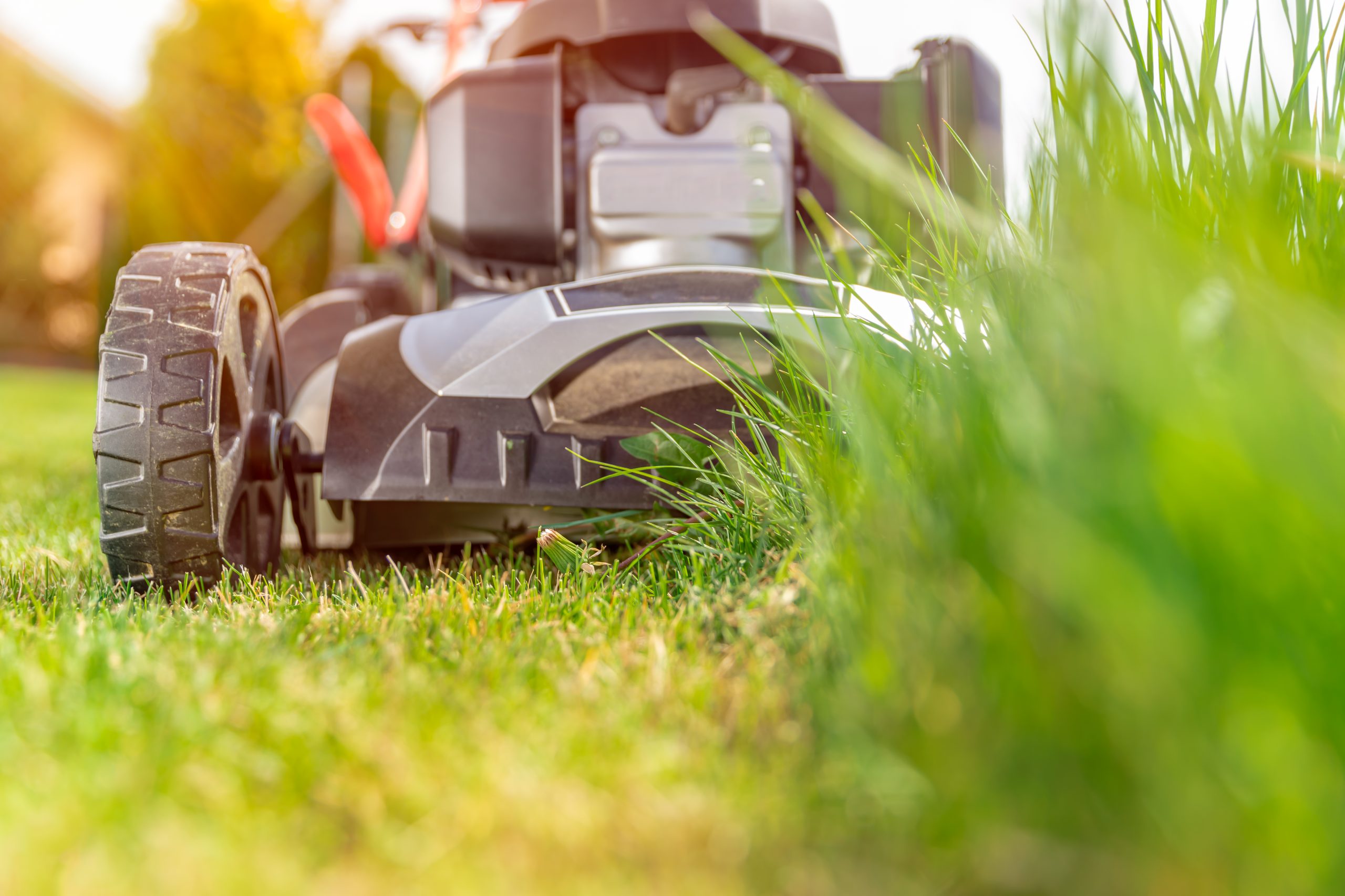 Grass Cutting